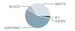 Toltec Elementary School Student Race Distribution