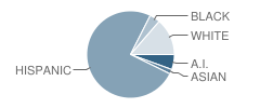 Vesey Elementary School Student Race Distribution