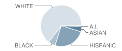 Desert Sky Middle School Student Race Distribution