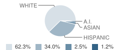 Valley Union High School Student Race Distribution