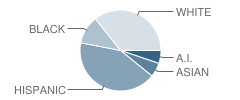 Cactus Wren Elementary School Student Race Distribution