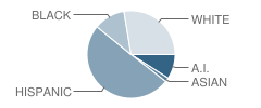 Orangewood Elementary School Student Race Distribution