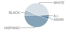 Sahuaro School Student Race Distribution