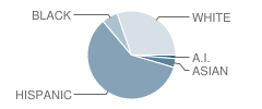 Palmcroft Elementary School Student Race Distribution