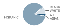 Roosevelt School Student Race Distribution