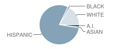 Kofa High School Student Race Distribution