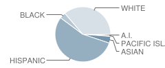 Thomas Downey High School Student Race Distribution