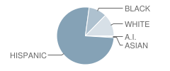George Visual and Performing Arts Magnet and Middle School Student Race Distribution