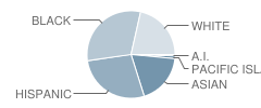 Dallas Ranch Middle School Student Race Distribution