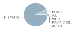 Clinton, William Jefferson School Student Race Distribution