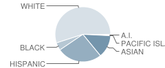 Dwight D. Eisenhower Elementary School Student Race Distribution