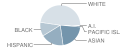 Pleasant Grove High School Student Race Distribution