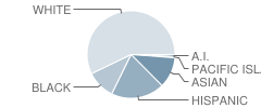 Heritage High School Student Race Distribution