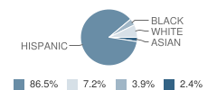 Bellingham Primary Center School Student Race Distribution