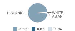 S. Ben Benavidez Elementary School Student Race Distribution