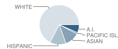 Ruhkala Elementary School Student Race Distribution