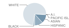 Blue Oaks Elementary School Student Race Distribution