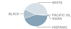 Met Sacramento Charter High School Student Race Distribution