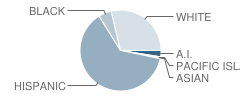 Public Safety Academy Student Race Distribution