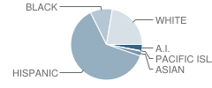 San Jacinto Home Education School Student Race Distribution