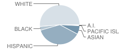 Dennis G. Earl Elementary School Student Race Distribution