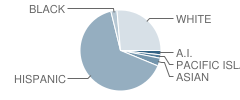 Temple Heights Elementary School Student Race Distribution