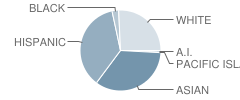 West Walton Elementary School Student Race Distribution