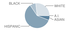 Bradoaks Elementary School Student Race Distribution