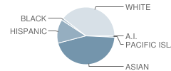 Country Lane Elementary School Student Race Distribution