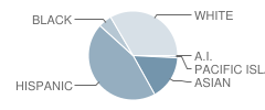 Los Paseos Elementary School Student Race Distribution