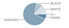 Ranch View Elementary School Student Race Distribution