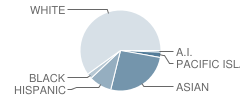 Bancroft Elementary School Student Race Distribution