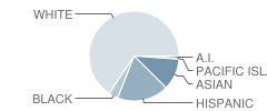 Clayton Valley High School Student Race Distribution