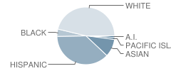 El Dorado Middle School Student Race Distribution