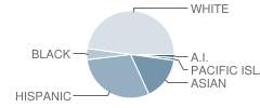 Mountain View Elementary School Student Race Distribution