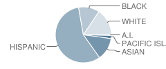 Mt. Diablo High School Student Race Distribution