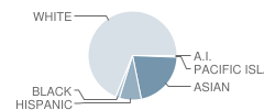 Northgate High School Student Race Distribution