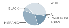 Silverwood Elementary School Student Race Distribution