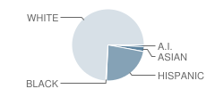 Browns Valley Elementary School Student Race Distribution