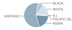 Napa Junction Elementary School Student Race Distribution