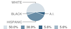 Horizons School Student Race Distribution