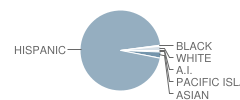 Ira Harbison School Student Race Distribution