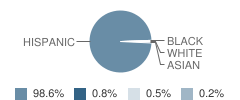 Olivewood School Student Race Distribution