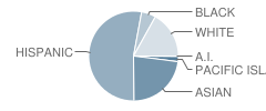 H. A. Snow Elementary School Student Race Distribution