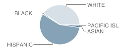 Bonita Elementary School Student Race Distribution