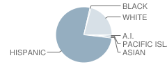 Von Renner Elementary School Student Race Distribution