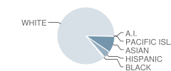 Corona Del Mar High School Student Race Distribution