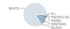 Newport Elementary School Student Race Distribution