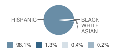 Pomona Elementary School Student Race Distribution