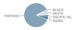 Foster Road Elementary School Student Race Distribution